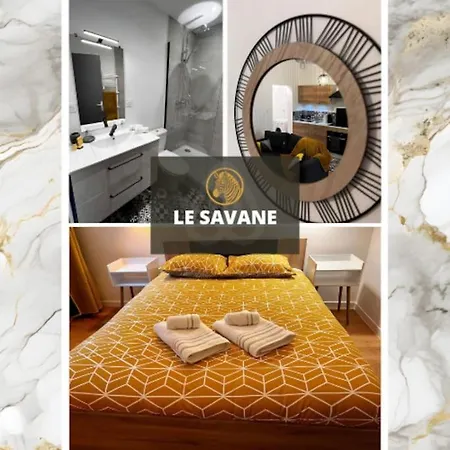 Savane - Appart. Equipe Renove, Avec Terrasse Apartment Vichy